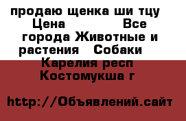продаю щенка ши-тцу › Цена ­ 10 000 - Все города Животные и растения » Собаки   . Карелия респ.,Костомукша г.